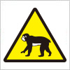 猿遭遇注意の標識アイコンイラスト