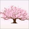 春の風物詩、桜