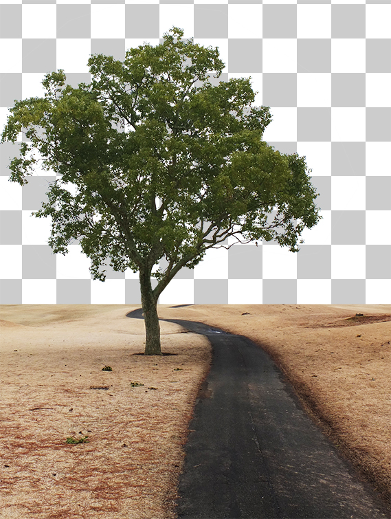 カート道と樹木の切り抜き画像