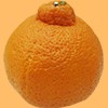オレンジの切り抜き画像