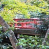 生い茂る緑の隙間から覗く、鶴岡八幡宮の赤い橋