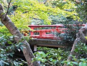 生い茂る緑の隙間から覗く、鶴岡八幡宮の赤い橋