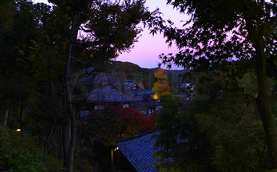 眺望散策路から見る夕暮れ時の長谷寺