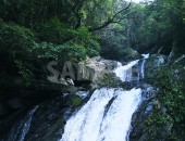 奄美大島・アランガチの滝