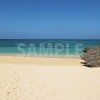 石垣島の青い海と砂浜と大きな岩