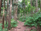 林道の写真・フォト