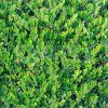 緑々しい葉っぱのテクスチャー系素材写真・フォトデータ