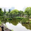 春の曇った日比谷公園の写真・フォト素材