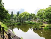 春の曇った日比谷公園の写真・フォト素材