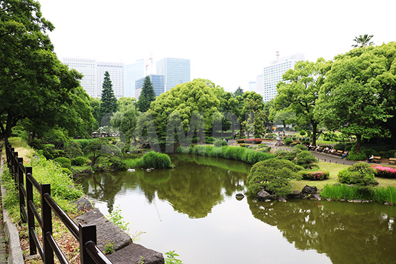 春の曇った日比谷公園の写真・フォト素材