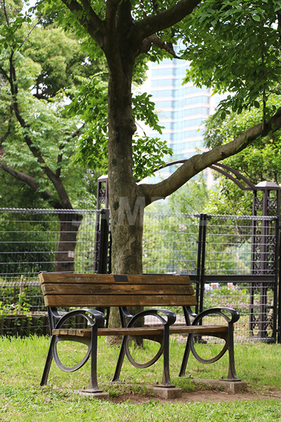 日比谷公園のベンチ