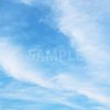 青い空と飛行機雲