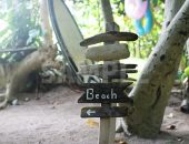 新城海岸のビーチへ誘導する木製サイン