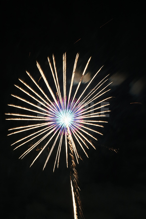 中央が青い楕円形の花火