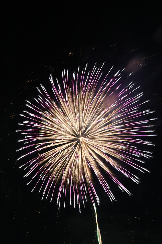 白・ピンク・黄色の花火