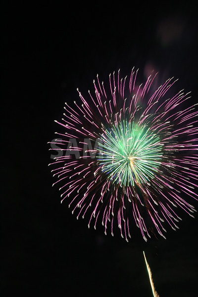 紫・緑色の花火