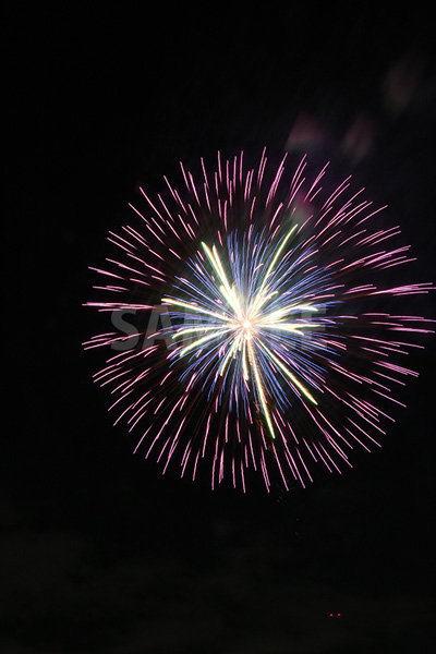 紫・青・白の花火