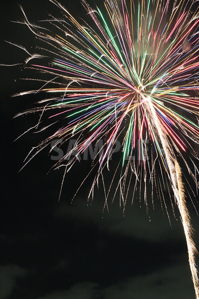 カラフルに飛び散る打ち上げ花火