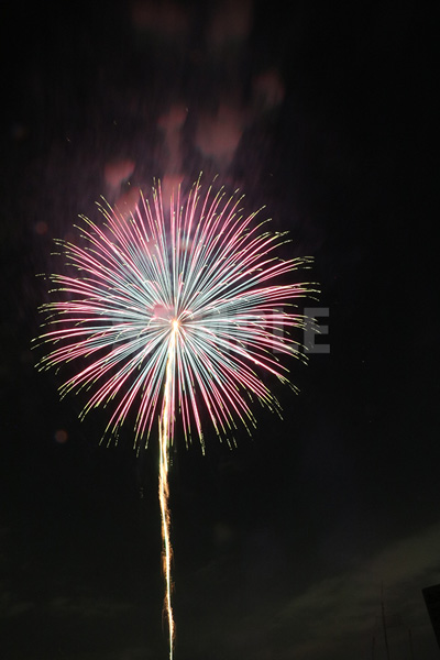 青&ピンクの鮮やかな打ち上げ花火