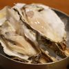 新鮮な牡蠣の写真・フォト素材
