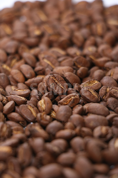 中央にピンのあるコーヒー豆の写真（縦）