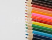 縦に整列する色鉛筆の写真（全体にピン）