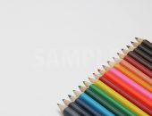 斜めに整列する色鉛筆の写真・フォト