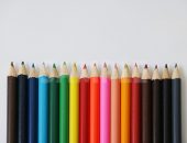 キレイに整列する色鉛筆の写真