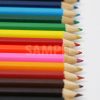 縦に整列する色鉛筆の写真