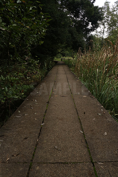 石でできた遊歩道の写真