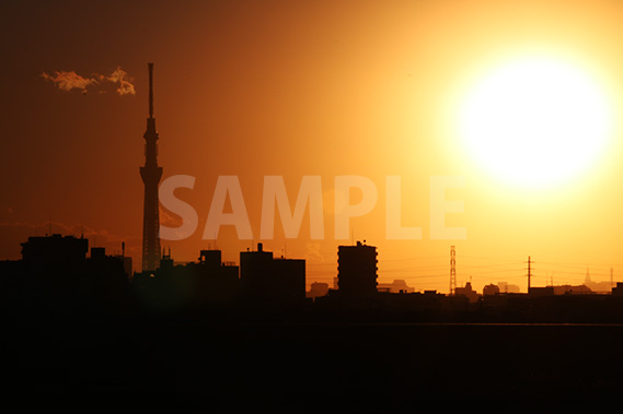 スカイツリーと夕日の写真・フォト素材