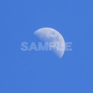 月の写真　正午月齢(6.1)月の写真,青空,moon,Month,Canon,EOS Kiss X5