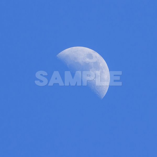 月の写真 正午月齢(6.1)月の写真,青空,moon,Month,Canon,EOS Kiss X5