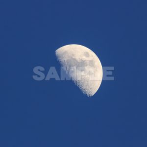 月の写真　正午月齢(7.7)月の写真,青空,moon,Month,Canon,EOS Kiss X5