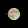 満月「スーパームーン」2015年　夜空,満月,スーパームーン,2015年,moon,Month,Canon,EOS Kiss X5