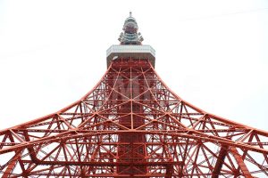 東京タワーを見上げた写真・フォト