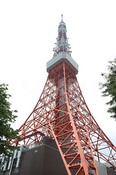 斜めから見上げる東京タワーの写真・フォト