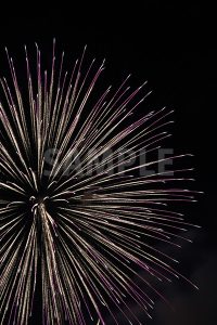 紫色の打ち上げ花火の写真・フォト素材