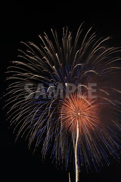 打ち上げ花火の写真・フォト素材