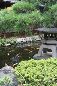 日本庭園の写真・フォト素材