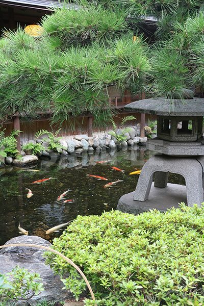 日本庭園の写真・フォト素材