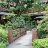 日本庭園の写真・フォト素材