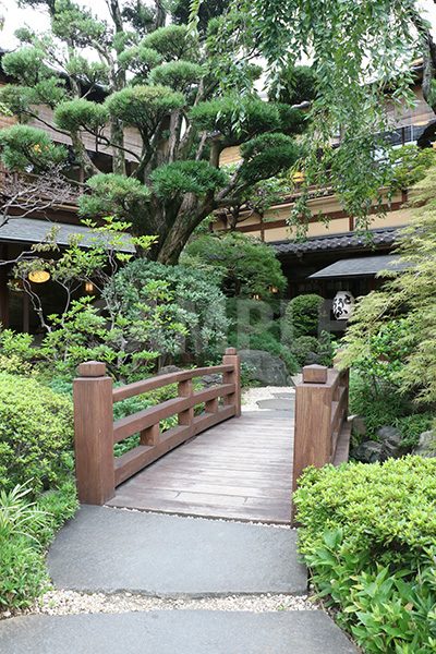 日本庭園の写真・フォト素材