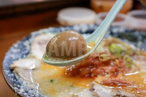 ラーメンの煮玉子写真・フォト素材