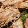 生牡蠣の写真・フォト素材