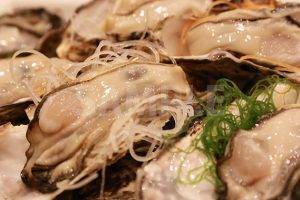 生牡蠣の写真・フォト素材