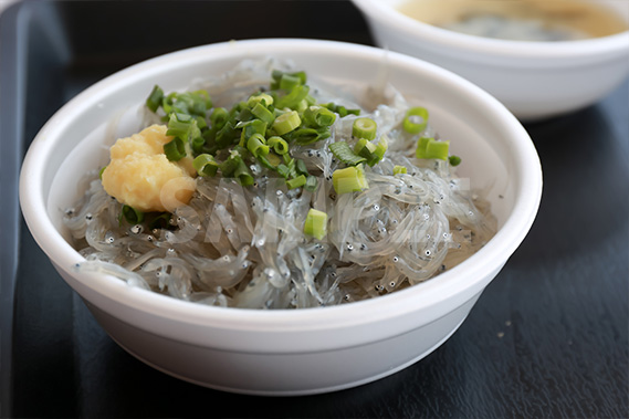 生シラス丼の写真・フォト素材